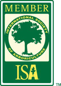 ISA Members